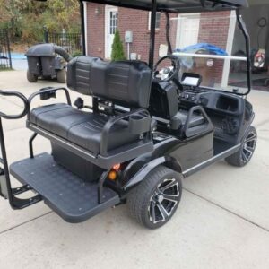 2021 Evolution golf cart