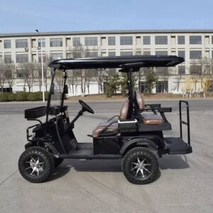 Electric Golf car With 48V 4KW