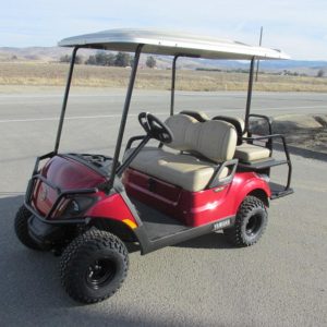 2022 Yamaha Golf Car Drive2 Adventurer®