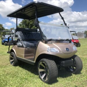 Electric Vehicles 4 Pro 60 AH Lithium