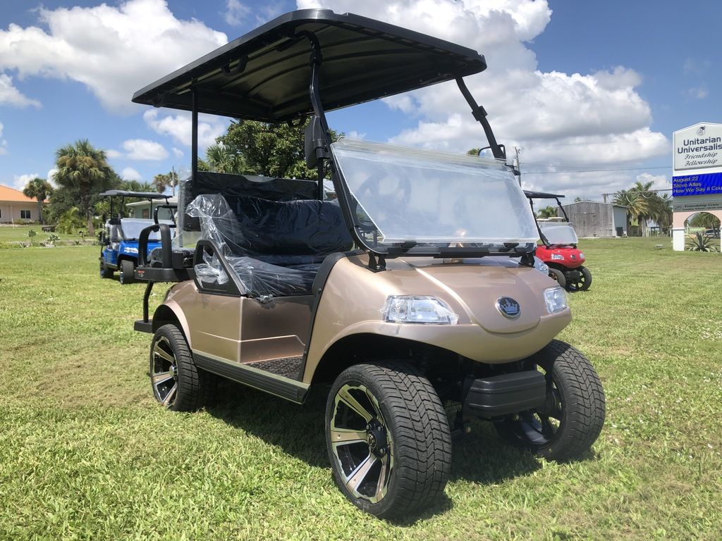 Electric Vehicles 4 Pro 60 AH Lithium