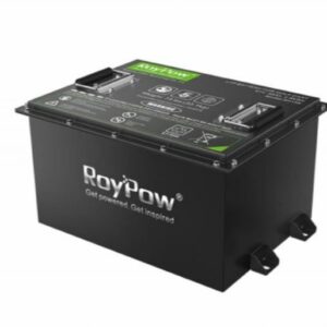 Battery RoyPow Lithium Ion 48 Volt